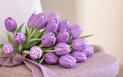 Ramos de tulipanes Bogotá norte: el regalo perfecto lleno de estilo y frescura