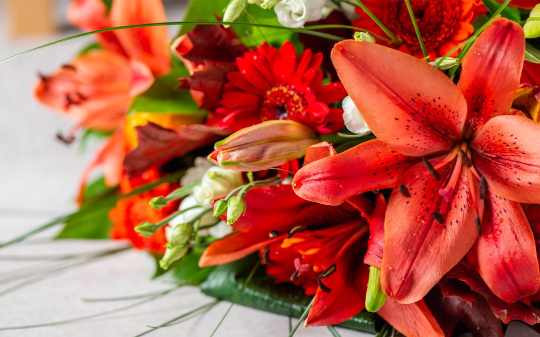 Plantas exóticas Bogotá domicilio: ordena hoy y sorprende