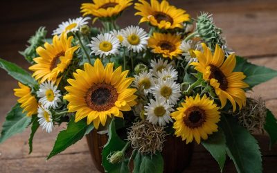 La energía del color amarillo en cada detalle