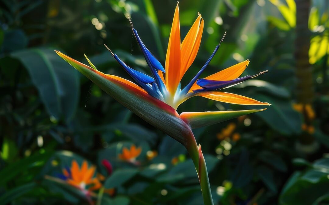Plantas exóticas Bogotá norte para decorar con elegancia